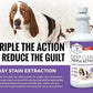 Professional Strength Deep Clean (Gal.) 3X Carpet Cleaner Solution & Deodorizer, Concentrated Encapsulating Carpet Shampoo, Pet Odor & Dirty Carpet Cleaning Solution 128 fl oz.