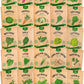 Organo Republic 25 Winter Vegetable & Green Seeds Variety Pack for Outdoors & Indoor Home Gardening 27670+ Non-GMO Heirloom Seeds: Broccoli Beet Carrot Collard Lettuce Radish Spinach Pea Kohlrabi
