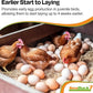 SeaBuck 7 Chicken & Bird Supplement with Sea Buckthorn to Improve Egg Quality (1-Month Supply for 20 Chickens) – Earlier Laying, Egg Production Booster & Higher Quality Eggs