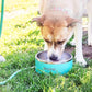 Dog Bowl, Dog Water Bowl Vacuum Insulated Stainless Steel, Non-Slip, Spill-Proof, Easy Clean, Keeps Water Cool, Cute, Stylish Pet Bowl, 64 oz, Light Blue, Modern