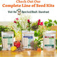 Open Seed Vault 4,000 Non GMO Heirloom Vegetable Seeds for Planting Vegetables and Fruits - 12 Variety Pack of Herb Seeds for Planting Outdoors - Gardening Supplies, Survival Gear, Prepper Kits