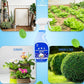 All Natural Bug Spray for Home - Non-Toxic Peppermint Oil Insect and Pest Control Kit - 8 oz Ready-to-Use Bug Spray - Indoor and Outdoor Protection- Ant Spray - Spider Repellent Indoor