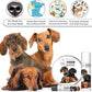 The Blissful Dog Dachshund Nose Butter for Dry, Cracked Skin, Lick-Safe Dog Nose Balm with Moisturizing Shea Butter, Almond, Olive, and Essential Oils, Pet Supplies, Uncented, 1 oz.