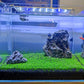 4 Pack Aquarium Plant S.e.e.ds, no Artificial Plastic Plant, Fish Tank Live Grass for All Substrate (0.36ozTiny+0.36oz Long+0.36oz Short+0.36oz Big Dual) ZQV-005