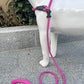 Slip Lead Dog Leash，Strong Nylon Rope Leash and Padded Handle,No Pull Outdoor Walking Training Lead for Small Medium Large Dogs(Fuchsia, 1/2"×6ft)