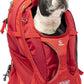 Kurgo G-Train - Dog Carrier Backpack for Small Pets - Cat & Dog Backpack for Hiking, Camping or Travel - Waterproof Bottom - Red