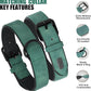 Didog Soft Padded Leather Dog Collar and Leash Set, Adjustable and Breathable Pet Collars with 4FT PU Leather Dog Leash for Small Medium Large Dogs, Green, XL
