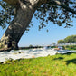 4’9” x 6’3” White Lightweight Water-Resistant Canvas Mat – Picnic, Outdoor, Beach, Park, Camping, Toy Mat