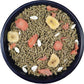 SLEEK & SASSY Garden Guinea Pig & Rabbit Food (40 lbs.)