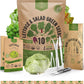 Organo Republic 10 Lettuce & Salad Greens Seeds Variety Pack 13000+ Non-GMO Heirloom Lettuce Seeds for Planting Indoors & Outdoors Garden, Hydroponics - Arugula, Radicchio, Kale, Spinach, Swiss Chard
