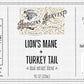 Organic Lion’s Mane + Turkey Tail Tincture | Made with Mushrooms Grown On Our Farm in The USA | Dual Extract | Extra-Concentrated (4 fl oz)