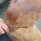 Resco US-Made Combination Comb for Dogs and Cats, Chrome