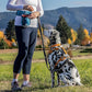 Kurgo G-Train - Dog Carrier Backpack for Small Pets - Cat & Dog Backpack for Hiking, Camping or Travel - Waterproof Bottom - Ink Blue