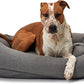 Jax & Bones Dog Napper - Lark Graphite Machine Washable Bed for Dogs - Extra Heavy Duty Bolstered Sides - Small Grey Dog Mat | 24 x 21 Inches