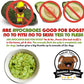 The Blissful Dog Smooth Coat Chihuahua Nose Butter for Dry, Cracked Skin, Lick-Safe Dog Nose Balm with Moisturizing Shea Butter, Almond, Olive, and Essential Oils, Pet Supplies, Uncented, 2 oz.