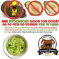 The Blissful Dog White Boxer Nose Butter for Dry, Cracked Skin, Lick-Safe Dog Nose Balm with Moisturizing Shea Butter, Almond, Olive, and Essential Oils, Pet Supplies, Uncented, 1 oz.