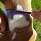 Resco Professional Anti-Static Dog, Cat, Pet Comb for Grooming, Steel Pins, Coarse Tooth Spacing, Candy Blue