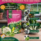 50 Gourmet Garden Vegetable Seeds Variety Pack - 34,455+ Non-GMO Heirloom Vegetables Seeds for Planting Indoor Outdoor: Broccoli, Carrot, Onion, Lettuce, Pepper - Gardening Seed Packets