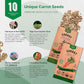 Organo Republic 10 Unique Carrot Seeds Variety Pack - 7,550+ Non-GMO Heirloom Carrot Seeds for Outdoor & Indoor Home Gardening, Including Carrot Imperator 58, Little Fingers, Scarlet Nantes, Parisian