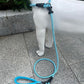Slip Lead Dog Leash，Strong Nylon Rope Leash and Padded Handle,No Pull Outdoor Walking Training Lead for Small Medium Large Dogs(Light Bule, 1/2"×6ft)