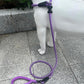 Slip Lead Dog Leash，Strong Nylon Rope Leash and Padded Handle,No Pull Outdoor Walking Training Lead for Small Medium Large Dogs (Purple, 1/2"×6ft)