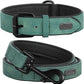 Didog Soft Padded Leather Dog Collar and Leash Set, Adjustable 4FT Faux Leather Dog Leash and Collar Set with Metal Buckle for Small Medium Large Dogs, Green, L