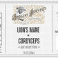 Hodgins Harvest Organic Lion’s Mane + Cordyceps Tincture | Made with Mushrooms Grown On Our Farm in The USA | Dual Extract | Extra-Concentrated (4 fl oz)