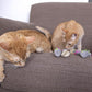 SmartyKat Skitter Critters Value Pack Catnip Cat Toys - Gray/Cream, Set of 10