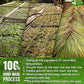 FreshDrinkUS, Premium 135 Tea Bags Tulsi Moringa Lemongrass, 100% Natural & Pure from Tulsi Holy Basil Leaves, Moringa & Lemongrass. Made with Natural Material Tea Bags. No Sugar, No Caffeine, Vegan.