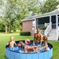 Foldable Dog Pool, Lexda Hard Plastic Shell Pet Swimming Pools for Large Dogs, Collapsible Plastic Pet Pool, Portable Bathing Tub for Dogs (79x12inch)