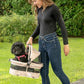 Pet Gear No-Zip View 360 Ultra Lite Pet Safety Carrier & Car Seat for Small Dogs & Cats Push Button Entry, 15", Sand,View 360 Ultra Light 15-inch,Sand