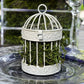 Weddingstar Miniature Round Birdcage Favors in White - Pack of 4