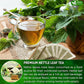 FreshDrinkUS, 55 Nettle Leaf Tea Bags, 100% Natural & Pure from Nettle Leaves. Loose Leaf Nettle Herbal Tea. Nettle Leaf Tea. No Sugar, No Caffeine, No Gluten, Vegan.