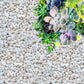 Perlite for Plants, Coarse and Chunky Horticultural Perlite, Organic Perlite for Gardening Indoor & Outdoor, Perlite Bulk Bag, Made in USA (5 quarts)