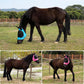 2 Piece Horse Fly Mask with Ears, Comfortable Fit Stretch Fabric Big Eye Space Soft Breathable with UV Protection for Full Horses (Blue-Pink)
