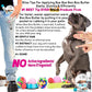 The Blissful Dog Cane Corso Boo Boo Butter, 4-Ounce
