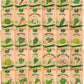 Organo Republic 30 Most Popular Winter Vegetable Garden Seeds Variety Pack- Outdoors/Indoor 33,200+ Non-GMO Heirloom Veggie Seeds Broccoli Beet Carrot Cabbage Chives Lettuce Radish Pea Spinach & More