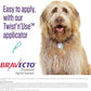 BRAVECTO Topical Solution for Dogs, Flea & Tick, 12 Week Supply, 4.4-9.9 lbs., Yellow Box