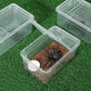Irenare 8 Pcs Reptile Breeding Breeding Box Plastic Spider Terrarium Tarantula Feeding Box for Bearded Dragon Lizard Spider Gecko Scorpion (Vent Strips,5.9 x 3.9 x 2.5 Inch)