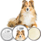 The Blissful Dog Shetland Sheepdog Nose Butter for Dry, Cracked Skin, Lick-Safe Dog Nose Balm with Moisturizing Shea Butter, Almond, Olive, and Essential Oils, Pet Supplies, Uncented, 1 oz.