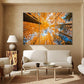 Nature Wall Art Prints - Ocean Forest Mountain Lake Canvas Landscapes - Small to Extra Large Living Room Bedroom Kitchen Bathroom Décor (Blue Sky Through Yellow Autumn Trees, 47L" x 71W" - 3 panels)