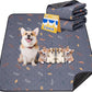 Sunheir 2-Pack Extra Large Reusable Dog Mat for Floor, Dog Playpen, Non-Slip Waterproof Pee Pads, Super Absorbent Washable Pee Pads for Dogs, Pet Whelping Pads, Crate, Potty Training - 36" x 48"