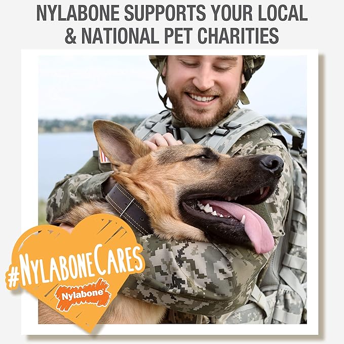 Nylabone Nutri Dent Dog Dental Chews, Natural Teeth Cleaning Treats & Breath Freshener for Dogs, Fresh Mint Flavor, Mini (78 Count)