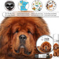 The Blissful Dog Tibetan Mastiff Unscented Nose Butter - Dog Nose Butter, 4 Ounce