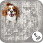 Washable Pee Pads for Dogs - Super Absorbent Reusable Puppy Training Pads - 100% Waterproof, Leak-Proof & Non-Slip