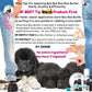 The Blissful Dog 8 oz TIN Newfoundland Booboo Butter