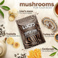 Lucid Superfood Organic Mushroom Chai with Nootropics - Lion's Mane, Tremella, Cordyceps & Turkey Tail - Instant Mushroom Chai Focus Brain Health - Alpha GPC, L-Theanine, Ginko Biloba - USA Made