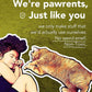 Lukamoo® Cute Cat Litter Mat (30’’x20’’), Large/L, for Kitty Litter & Cute Cat Litter Box, Litter Trapping Mat (mackerel tabby)