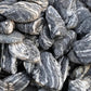Natural Aquarium Rocks Silver Seiryu Rock Mountain Stone Fish Rocks for Aquariums and Terrariums Animal Feeding Box, Micro Landscape, Stone Landscape and Bonsai (5lb 2-5inch 4-5Pcs)