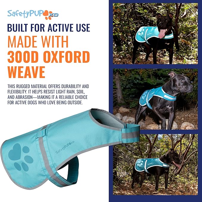 Dog Reflective Vest – Hi-Vis Fluorescent Visibility That Helps to Safeguard Your Pet On/Off Leash in Urban & Rural Areas (Teal, X-Small)